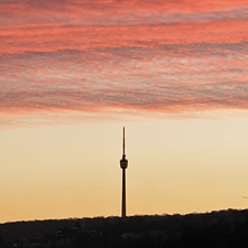 Verkauf und Vermietung von Privatimmobilien